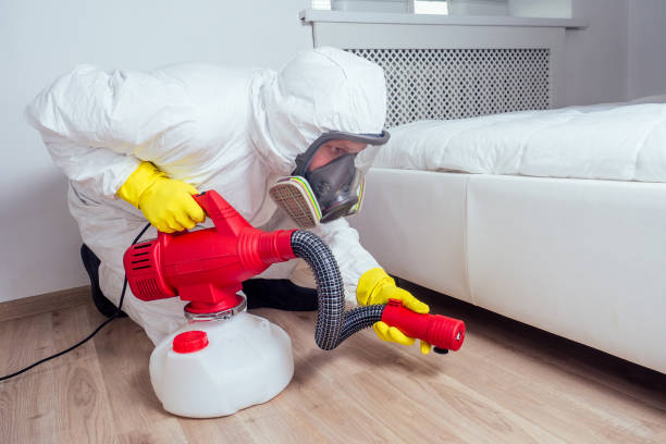 Best Affordable Pest Control Services  in Five Forks, SC