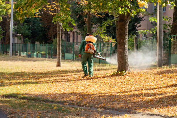 Best Exterminator Services  in Five Forks, SC